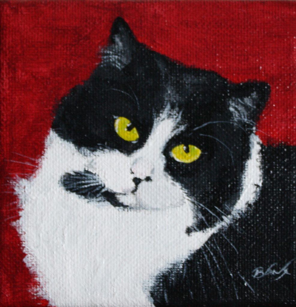 Painting of a cat called Benny - SOLD