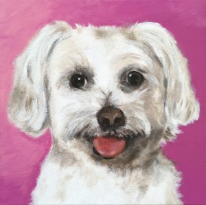 Painting of a dog called China - SOLD