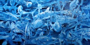 Painting of fish called School of Thought by Banx 1500x750mm MC6242